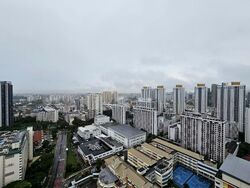 Trevista (D12), Condominium #549962301